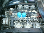 365 1.jpg (click to enlarge)